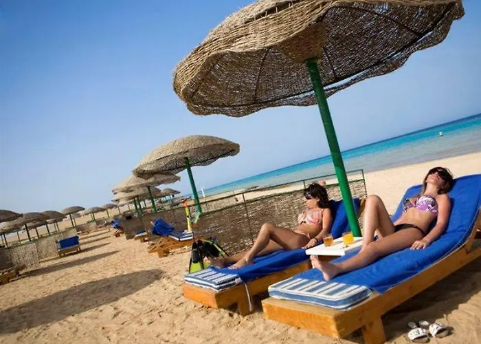 Gorgonia Marsa Alam